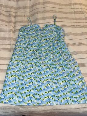 Adorable Cotton Sundress with liner